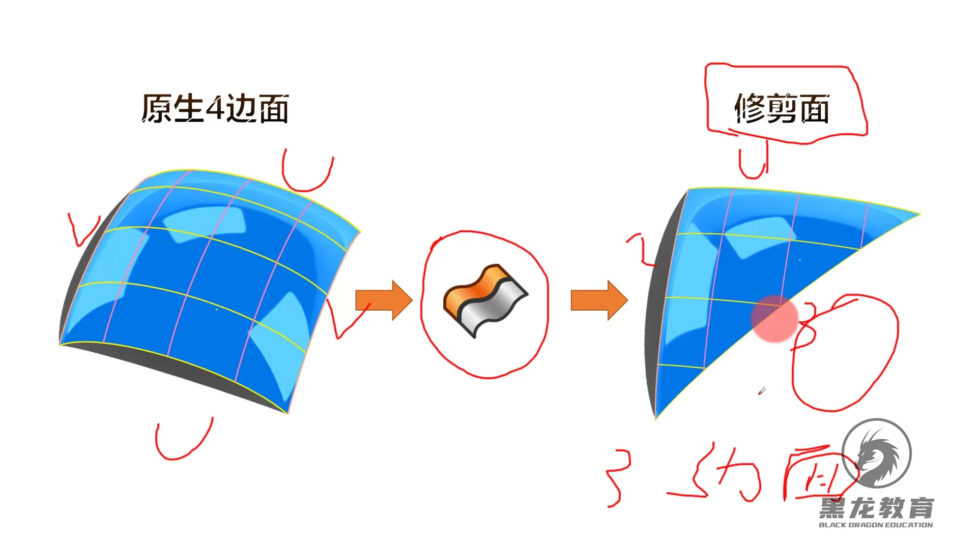 曲面质量评估 - 了解曲面的基础结构 - 操作画面